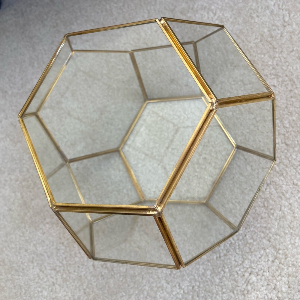 COPY - Gold Glass Octagon Terrarium ✨